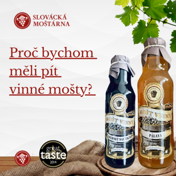 Proč bychom měli pít vinné mošty?