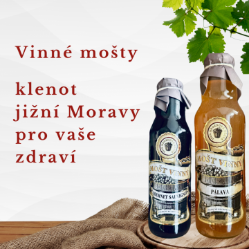 Vinné mošty - klenot jižní Moravy pro vaše zdraví