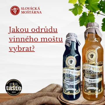 Jakou odrůdu vinného moštu vybrat?
